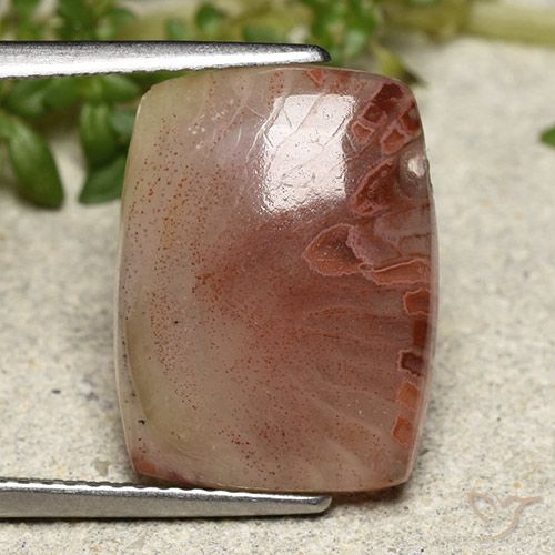 مرجان متعدد الألوان طبيعي، قطع وسادة، 5.47 قيراط، نصف شفاف