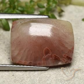 مرجان متعدد الألوان طبيعي، قطع وسادة، 5.47 قيراط، نصف شفاف