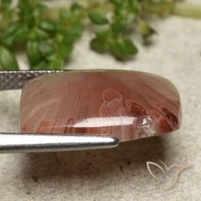 مرجان متعدد الألوان طبيعي، قطع وسادة، 5.47 قيراط، نصف شفاف