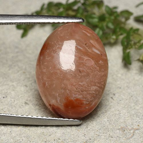 10.75ct طبيعي متعدد الألوان مرجان, بيضوي, نصف شفاف, Photo A