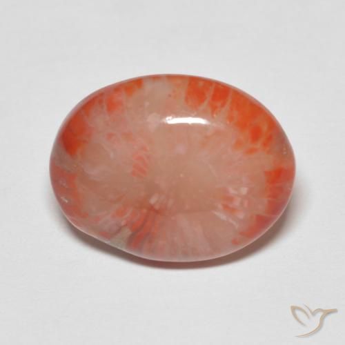 4.60ct طبيعي متعدد الألوان مرجان, بيضوي, نصف شفاف