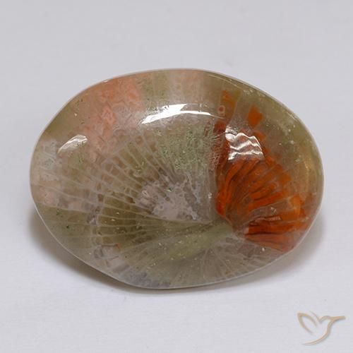 16.14ct طبيعي متعدد الألوان مرجان, بيضوي, نصف شفاف, Photo A