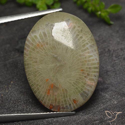 17.31ct طبيعي متعدد الألوان مرجان, بيضوي, نصف شفاف