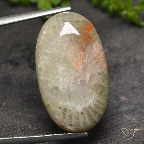 11.82ct طبيعي متعدد الألوان مرجان, بيضوي, نصف شفاف