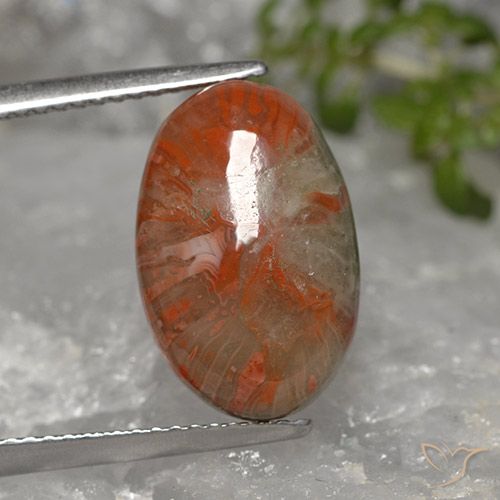 5.96ct طبيعي متعدد الألوان مرجان, بيضوي, غير شفاف