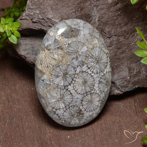 43.74ct طبيعي متعدد الألوان مرجان, بيضوي, غير شفاف