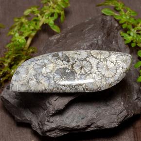 مرجان متعدد الألوان طبيعي، شكل خيالي، 26.84 قيراط، غير شفاف