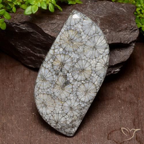 40.47ct طبيعي متعدد الألوان مرجان, فانسى, غير شفاف