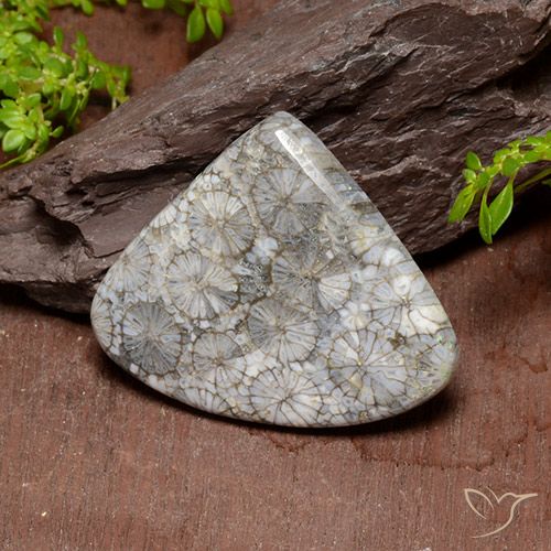 39.63ct طبيعي متعدد الألوان مرجان, شكل الكمثرى, غير شفاف