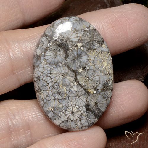 49.51ct طبيعي متعدد الألوان مرجان, بيضوي, غير شفاف