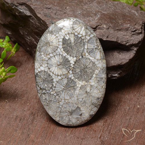 38.17ct طبيعي متعدد الألوان مرجان, بيضوي, غير شفاف