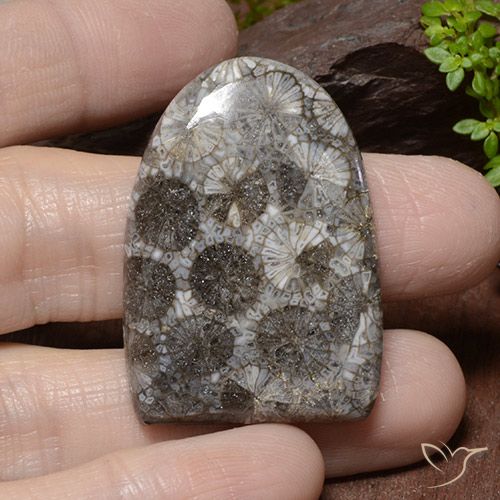 45.79ct طبيعي متعدد الألوان مرجان, فانسى, غير شفاف