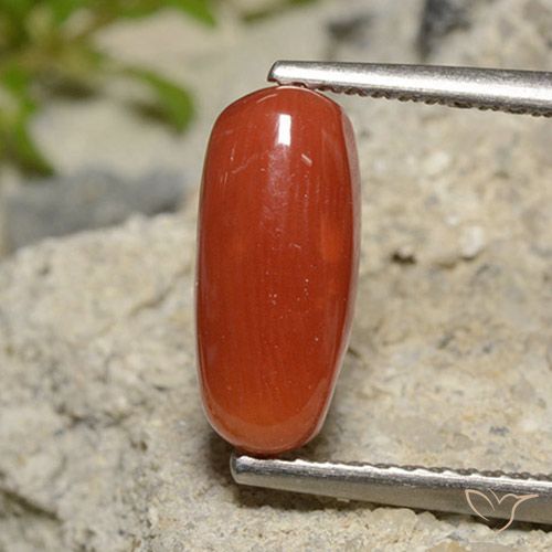 2.09ct طبيعي أحمر برتقالي مرجان, بيضوي, غير شفاف