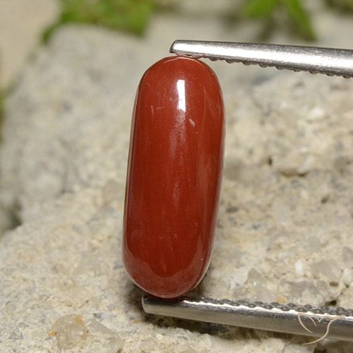 2.14ct طبيعي أحمر برتقالي مرجان, بيضوي, غير شفاف