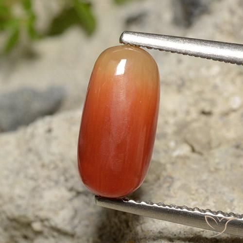 2.12ct طبيعي برتقالى متوسط مرجان, بيضوي, غير شفاف