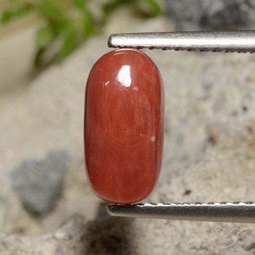 2.04ct طبيعي أحمر برتقالي مرجان, بيضوي, غير شفاف, Photo A