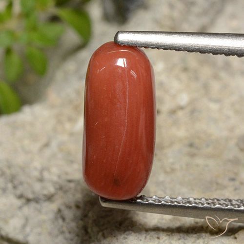 2.14ct طبيعي أحمر برتقالي مرجان, بيضوي, غير شفاف