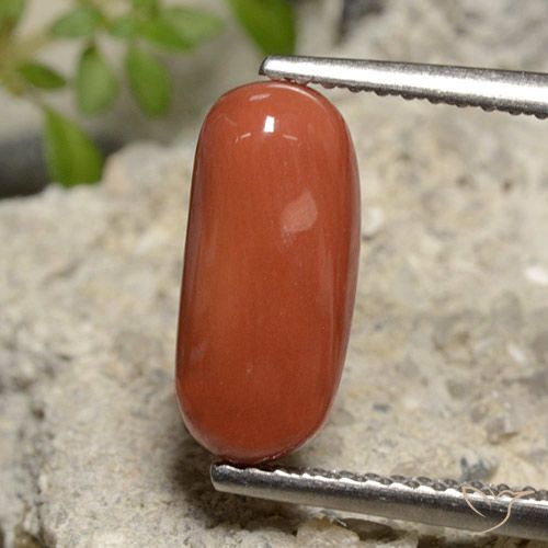 2.39ct طبيعي أحمر برتقالي مرجان, بيضوي, غير شفاف