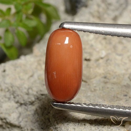 1.81ct طبيعي برتقالى متوسط مرجان, بيضوي, غير شفاف
