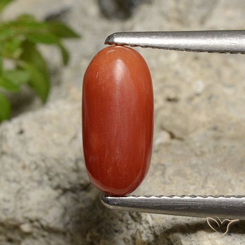 1.85ct طبيعي برتقالى متوسط مرجان, بيضوي, غير شفاف