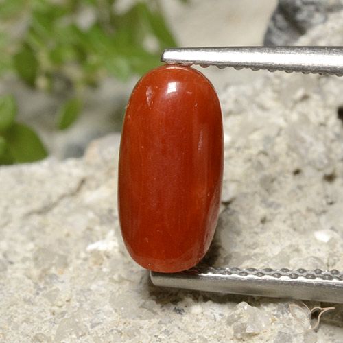 1.86ct طبيعي أحمر نارى مرجان, بيضوي, غير شفاف