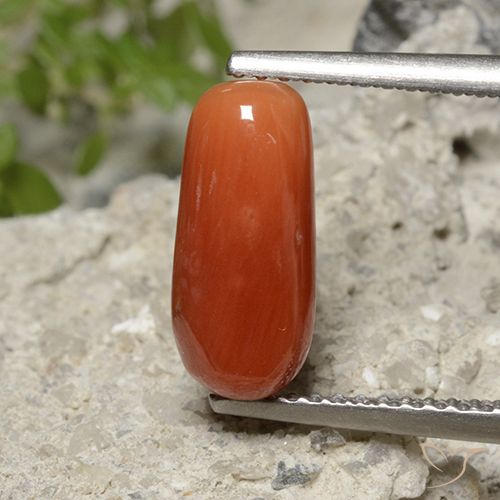 2.23ct طبيعي برتقالى نارى مرجان, بيضوي, غير شفاف