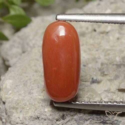 2.26ct طبيعي برتقالى نارى مرجان, بيضوي, غير شفاف