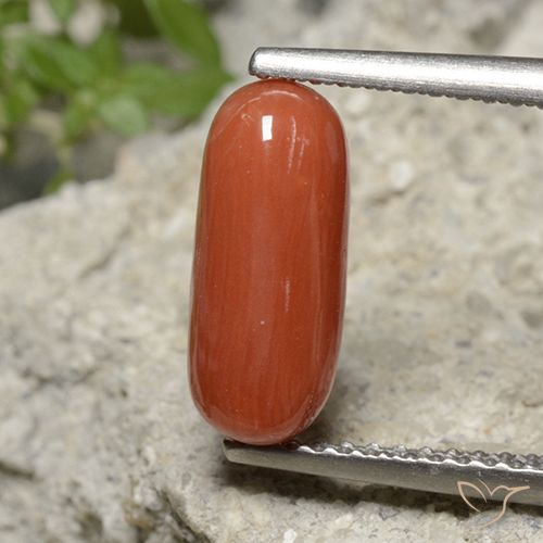 1.90ct طبيعي برتقالى نارى مرجان, بيضوي, غير شفاف