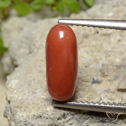 2.10ct طبيعي برتقالى متوسط مرجان, بيضوي, غير شفاف