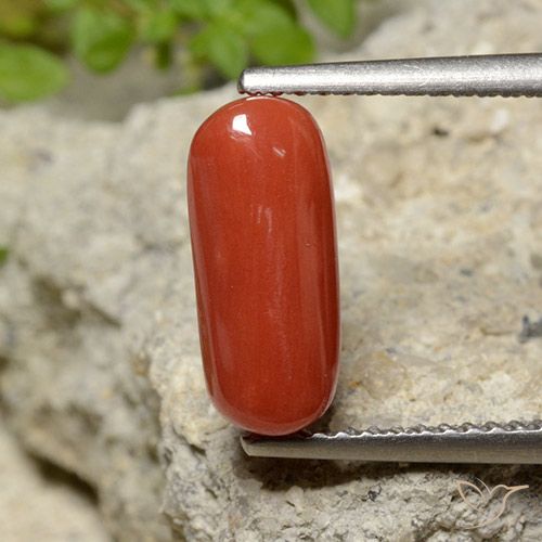 2.06ct طبيعي أحمر برتقالي مرجان, بيضوي, غير شفاف