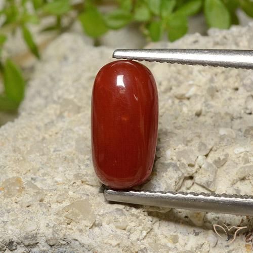 2.06ct طبيعي أحمر نارى مرجان, بيضوي, غير شفاف
