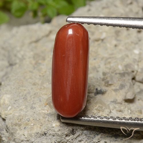 2.26ct طبيعي أحمر متوسط مرجان, بيضوي, غير شفاف