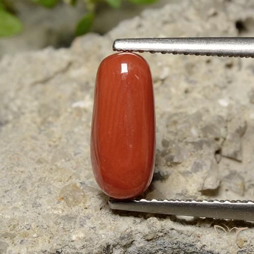 1.79ct طبيعي أحمر برتقالي مرجان, بيضوي, غير شفاف