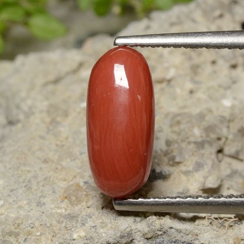 2.04ct طبيعي أحمر متوسط مرجان, بيضوي, غير شفاف