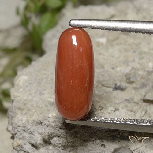 2.11ct طبيعي أحمر فاتح مرجان, بيضوي, غير شفاف