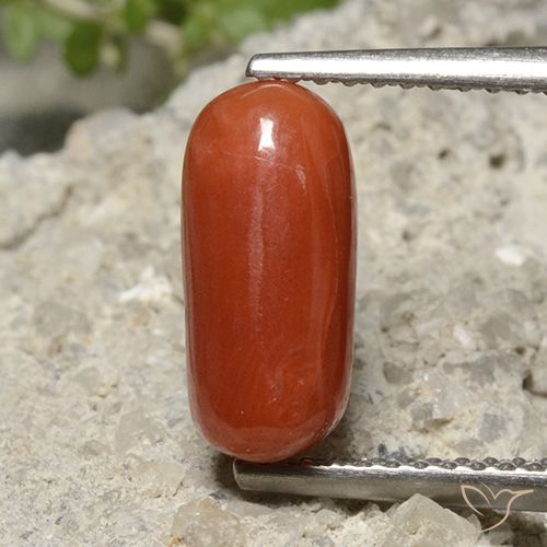 2.26ct طبيعي أحمر متوسط مرجان, بيضوي, غير شفاف