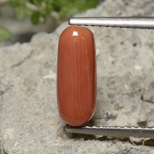 2.25ct طبيعي برتقالى نارى مرجان, بيضوي, غير شفاف