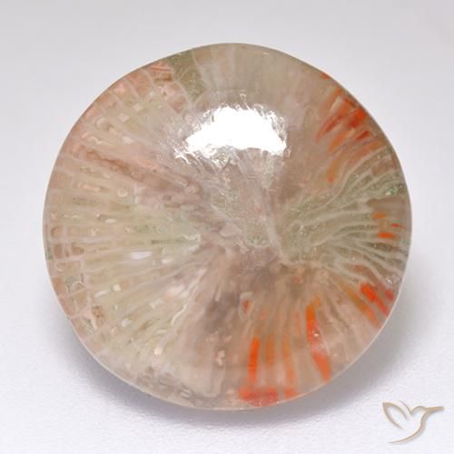 8.32ct طبيعي متعدد الألوان مرجان, دائري, نصف شفاف, Photo A