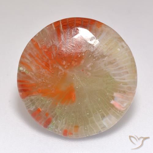 9.29ct طبيعي متعدد الألوان مرجان, دائري, نصف شفاف