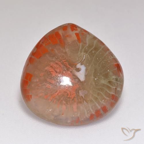 9.67ct طبيعي متعدد الألوان مرجان, شكل الكمثرى, نصف شفاف