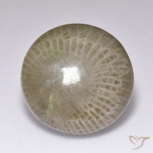 9.39ct طبيعي متعدد الألوان مرجان, دائري, غير شفاف
