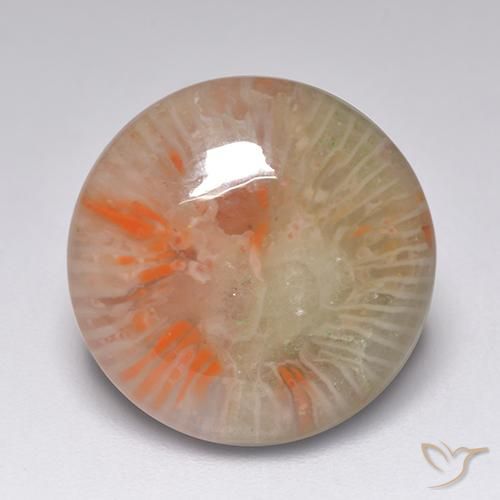 7.51ct طبيعي متعدد الألوان مرجان, دائري, نصف شفاف