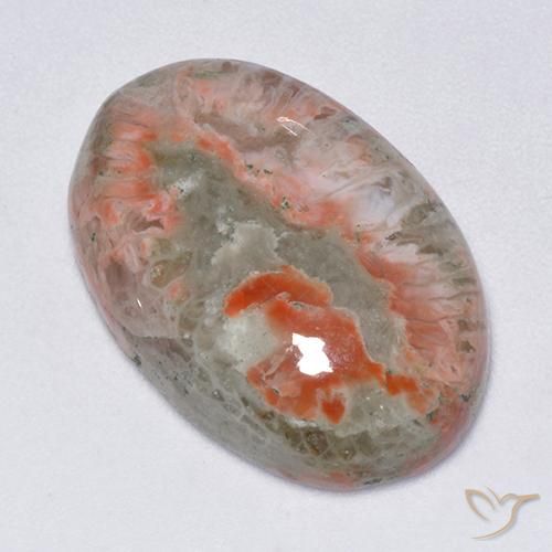 13.71ct طبيعي متعدد الألوان مرجان, بيضوي, نصف شفاف