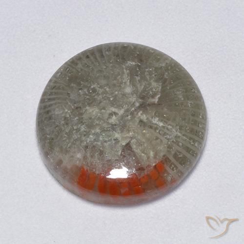 6.25ct طبيعي متعدد الألوان مرجان, دائري, نصف شفاف, Photo A