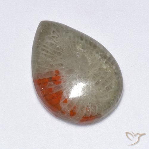 10.40ct طبيعي متعدد الألوان مرجان, شكل الكمثرى, نصف شفاف