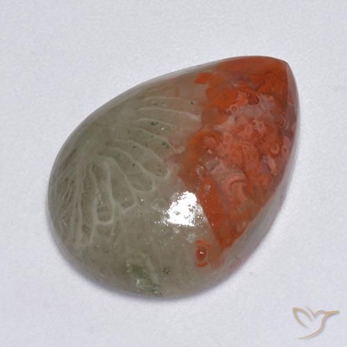 8.14ct طبيعي متعدد الألوان مرجان, شكل الكمثرى, نصف شفاف