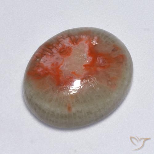 7.75ct طبيعي متعدد الألوان مرجان, بيضوي, نصف شفاف