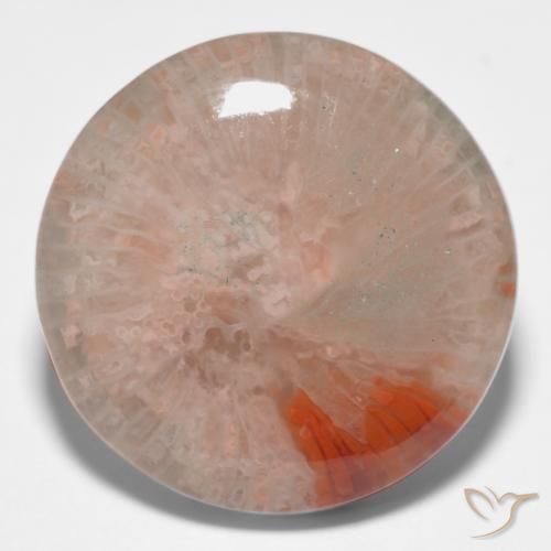 11.09ct طبيعي متعدد الألوان مرجان, دائري, نصف شفاف