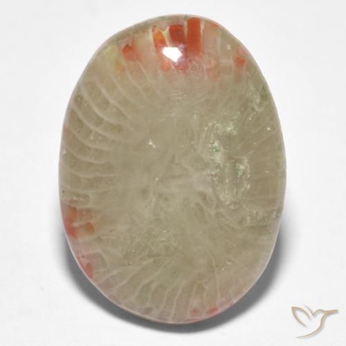 8.81ct طبيعي متعدد الألوان مرجان, بيضوي, نصف شفاف, Photo A