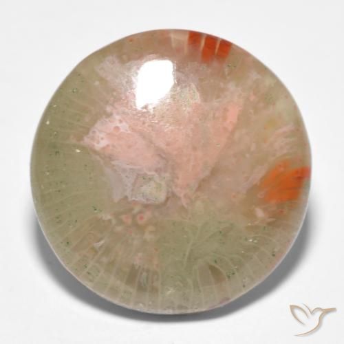 11.91ct طبيعي متعدد الألوان مرجان, دائري, نصف شفاف